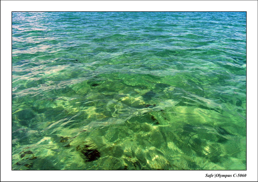 2005 - 11 - Maragogi - parc marin de gales 02.JPG